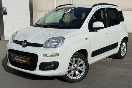 Fiat Panda Gebrauchtwagen
