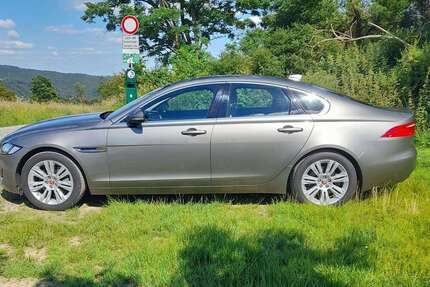 Jaguar XF Gebrauchtwagen