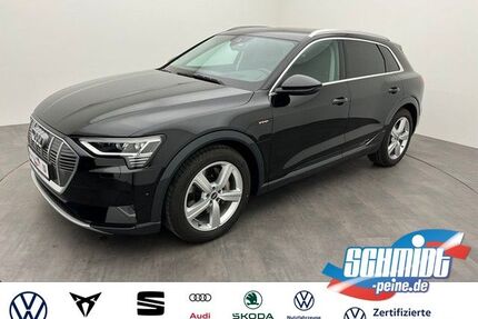 Audi e-tron Gebrauchtwagen