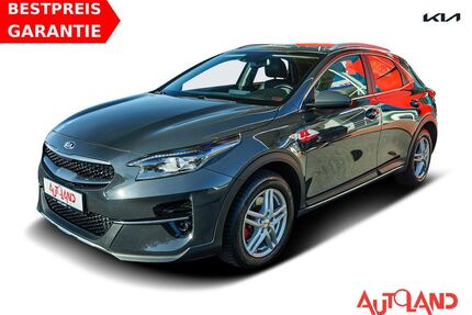 Kia XCeed Gebrauchtwagen