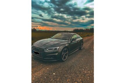 Audi S5 Gebrauchtwagen