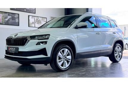 Skoda Karoq Gebrauchtwagen