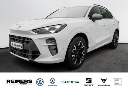 Cupra Terramar Gebrauchtwagen