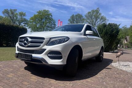 Mercedes-Benz GLE 350 Gebrauchtwagen