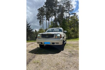 Cadillac Escalade Gebrauchtwagen