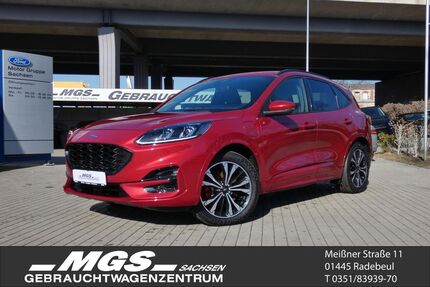 Ford Kuga Gebrauchtwagen