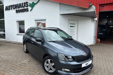 Skoda Fabia Gebrauchtwagen