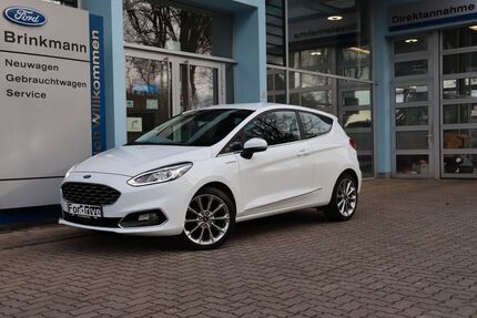 Ford Fiesta Gebrauchtwagen