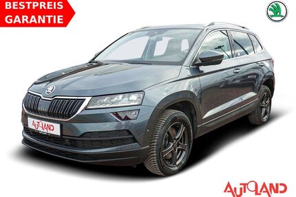 Skoda Karoq Gebrauchtwagen