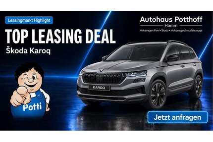 Skoda Karoq Gebrauchtwagen