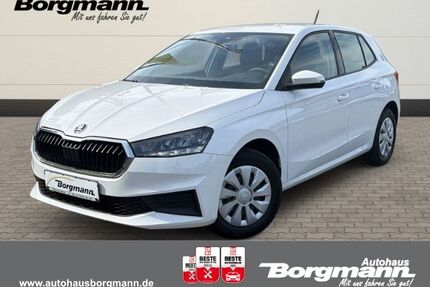 Skoda Fabia Gebrauchtwagen