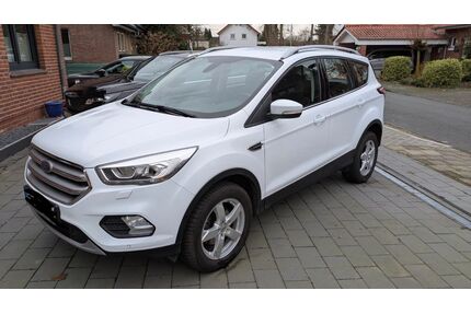 Ford Kuga Gebrauchtwagen