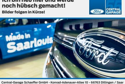 Ford Puma Gebrauchtwagen