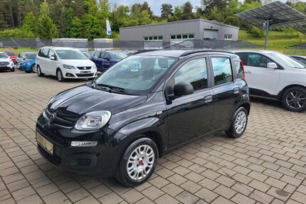 Fiat Panda Gebrauchtwagen