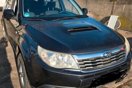 Subaru Forester Gebrauchtwagen