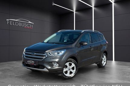 Ford Kuga Gebrauchtwagen
