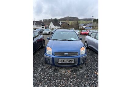 Ford Fusion Gebrauchtwagen