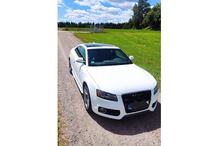 Audi A5 Gebrauchtwagen
