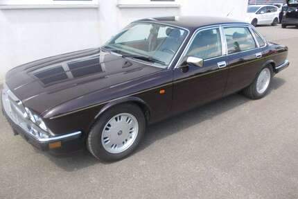 Jaguar Daimler Gebrauchtwagen
