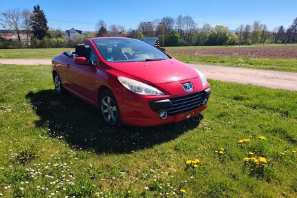 Peugeot 307 Gebrauchtwagen