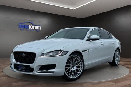Jaguar XF Gebrauchtwagen