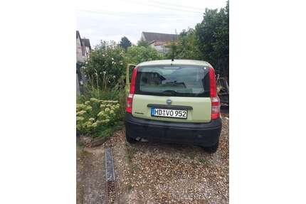 Fiat Panda Gebrauchtwagen