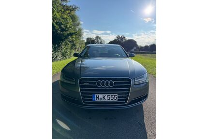 Audi A8 Gebrauchtwagen