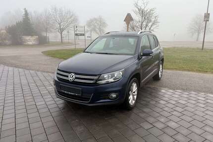 VW Tiguan Gebrauchtwagen