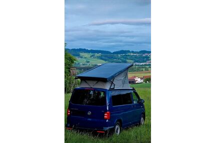 VW T6 Transporter Gebrauchtwagen