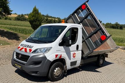 Fiat Ducato Gebrauchtwagen