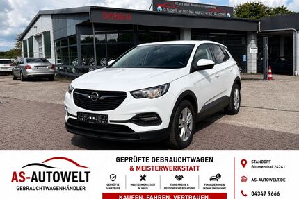 Opel Grandland (X) Gebrauchtwagen