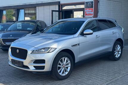 Jaguar F-Pace Gebrauchtwagen