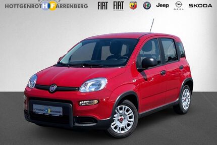 Fiat Panda Gebrauchtwagen