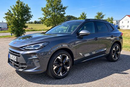 Cupra Terramar Gebrauchtwagen