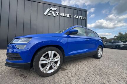 Skoda Karoq Gebrauchtwagen
