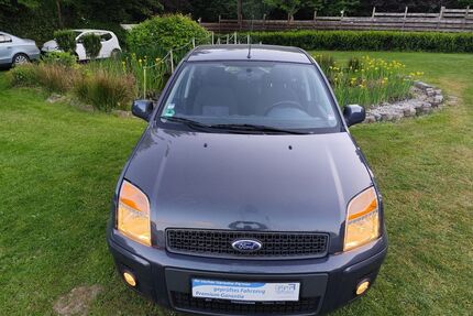 Ford Fusion Gebrauchtwagen
