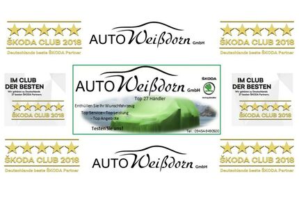 Skoda Octavia Gebrauchtwagen