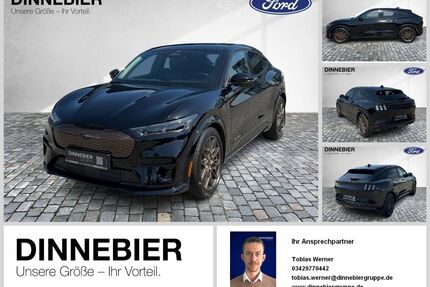 Ford Mustang Mach-E Gebrauchtwagen