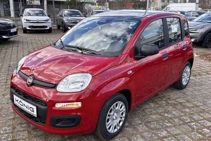 Fiat Panda Gebrauchtwagen