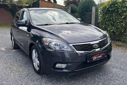 Kia ceed / Ceed Gebrauchtwagen