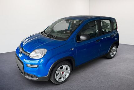 Fiat Panda Gebrauchtwagen