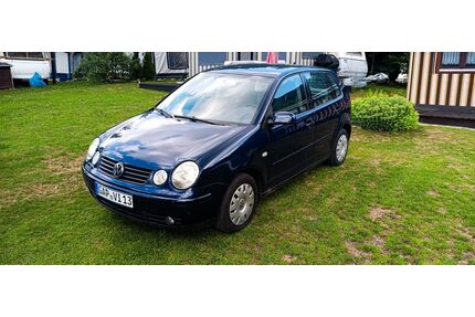 VW Polo Gebrauchtwagen