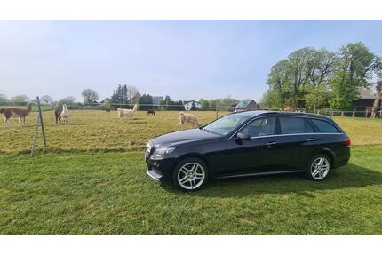 Mercedes-Benz E 250 Gebrauchtwagen