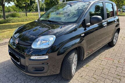 Fiat New Panda Gebrauchtwagen