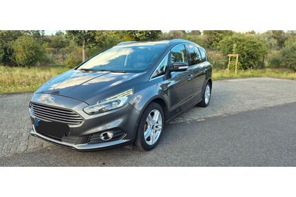 Ford S-Max Gebrauchtwagen