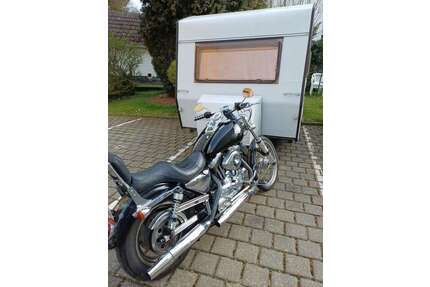 Harley Davidson 1200 Custom Gebrauchtwagen