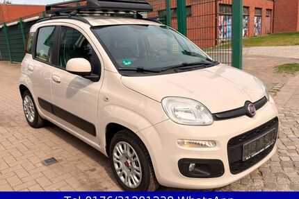 Fiat Panda Gebrauchtwagen