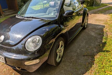 VW Beetle Gebrauchtwagen