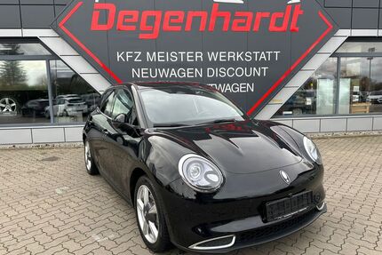 ORA Funky Cat Gebrauchtwagen