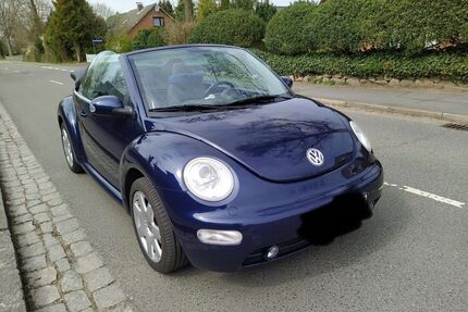 VW New Beetle Gebrauchtwagen